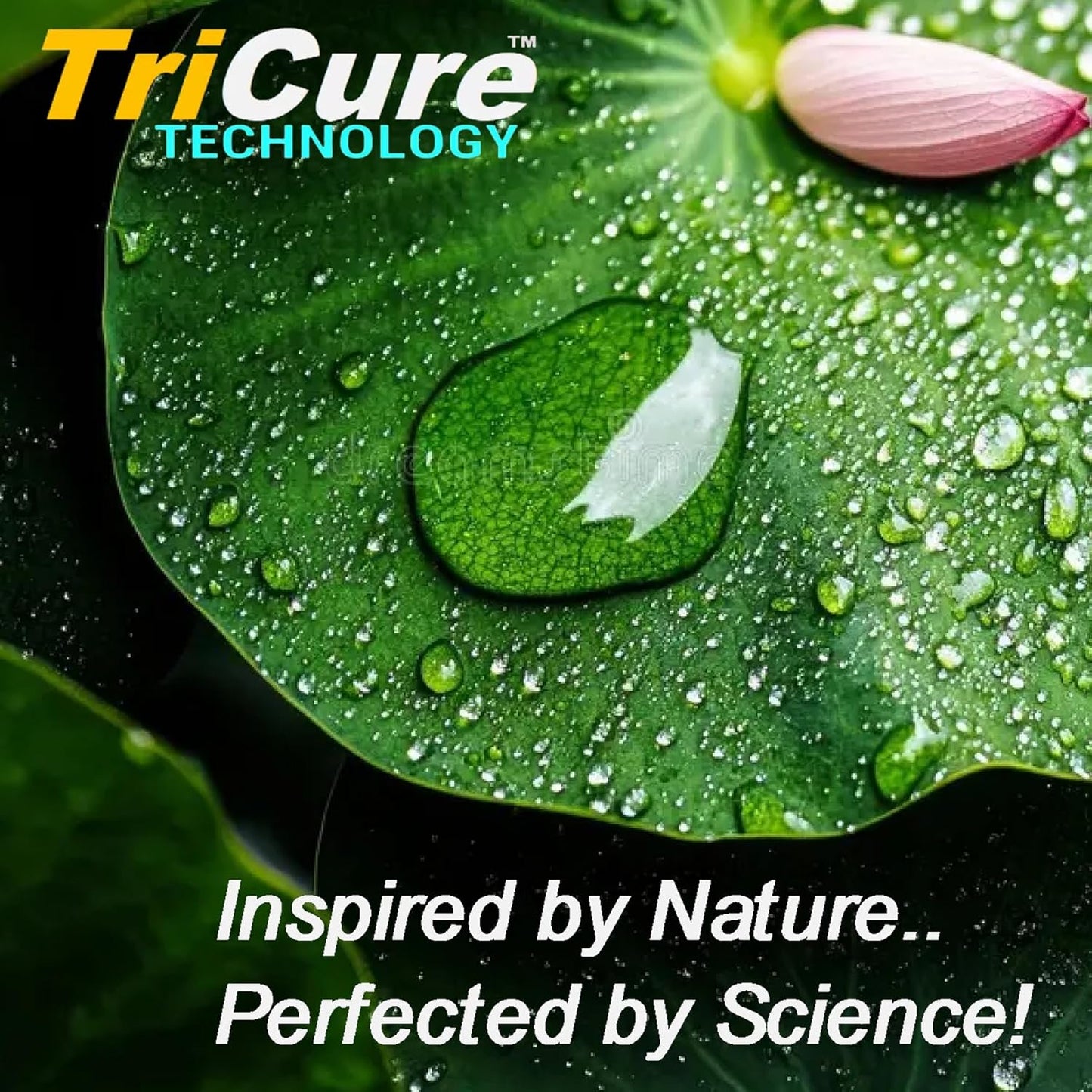 CERAMIC CAR COATING RAIN XTREME GLASS TREATMENT TRICURE TECHNOLOGY