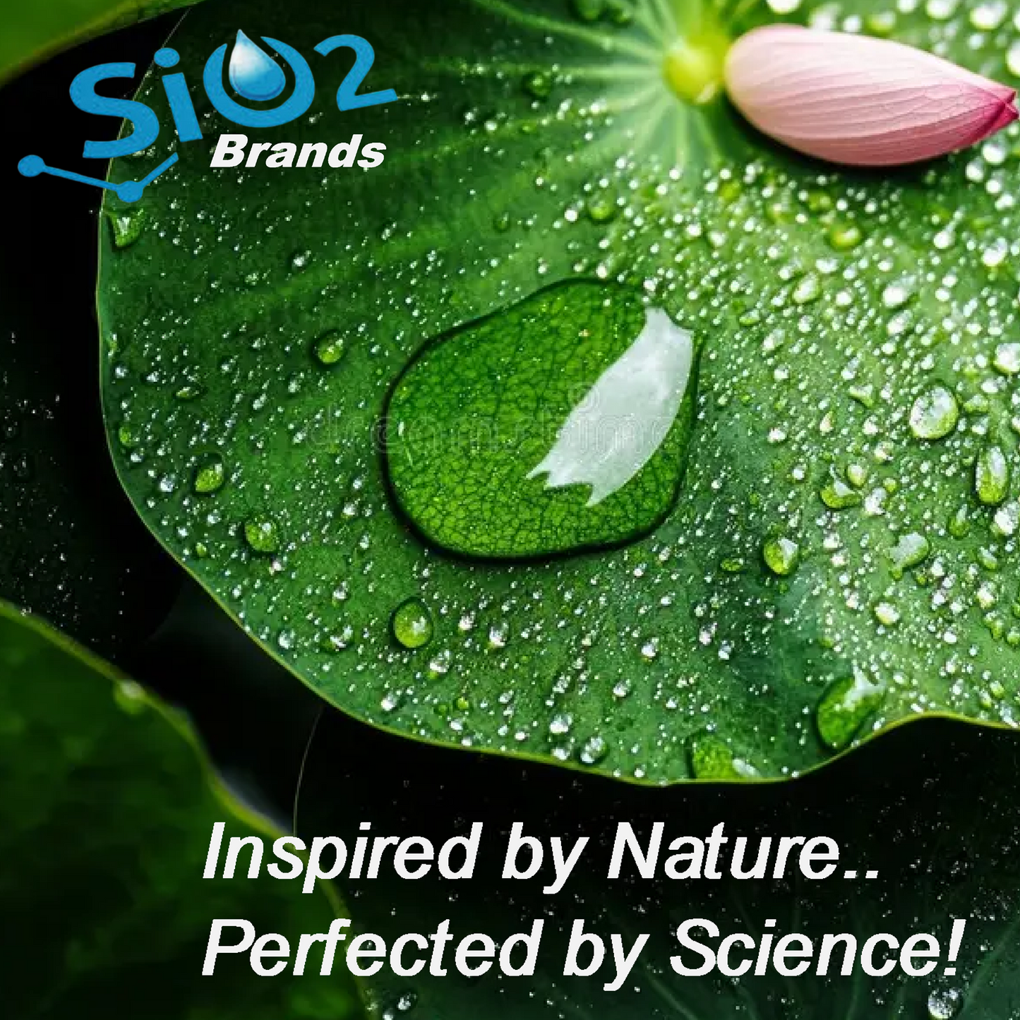 MOTORCYCLES CERAMIC SPRAY WAX SIO2 SILICON DIOXIDE PROTECTION