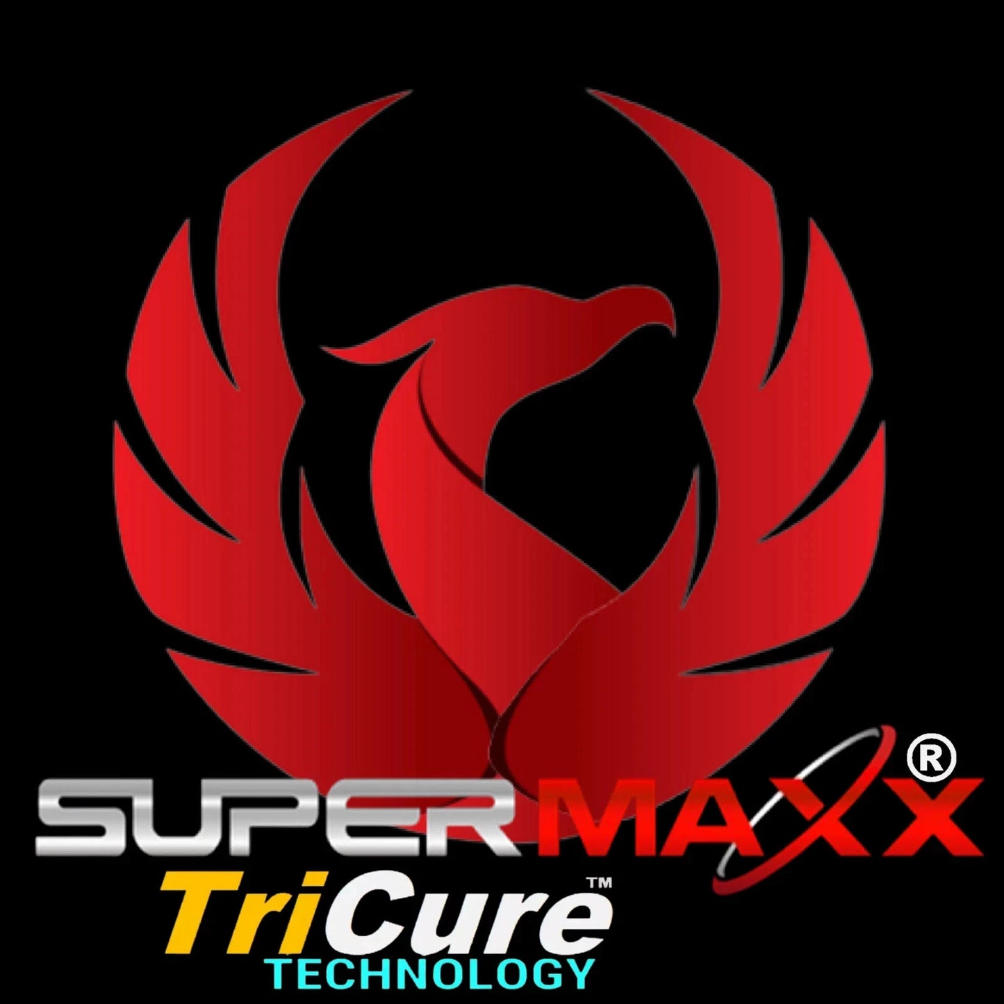 SUPERMAXX ORGANOPOLYSILAZANE 100-FC