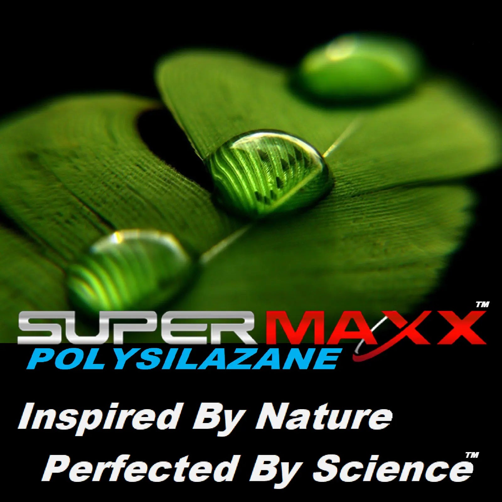 max gxl glutathione price maxgxl Amazon.com: One, Focused Riboceine Supplementation, 60 Vegetable Capsules, 60 Servings : Health & Household Maxi Health